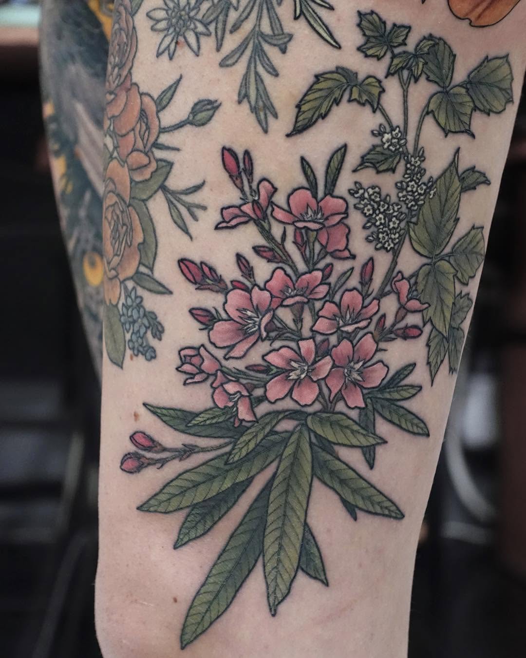 Flower, Rose