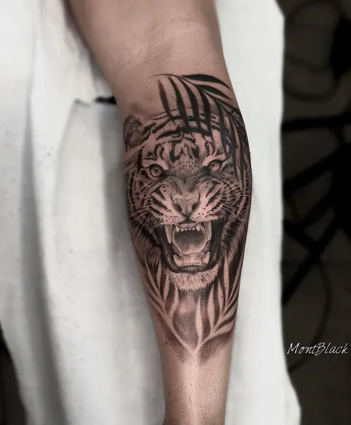 Tiger, 일본 호랑이, 중국 호랑이, 한국 호랑이