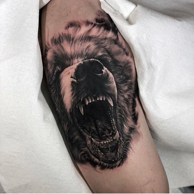 Animal, 곰, 고릴라, 멧돼지, 늑대인간