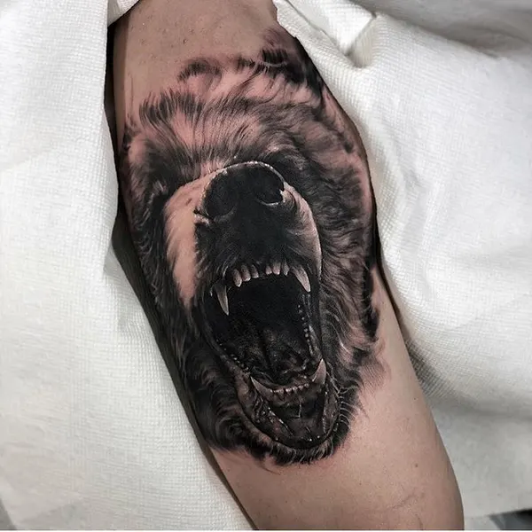 Animal, 곰, 고릴라, 멧돼지, 늑대인간
