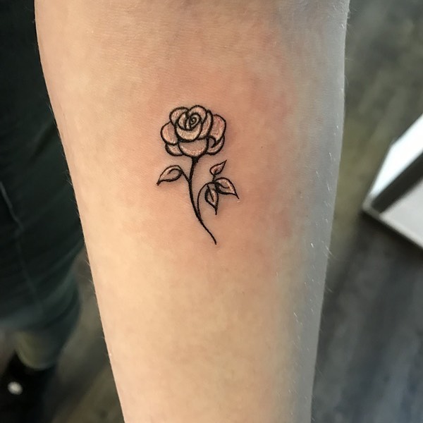 Flower, Rose