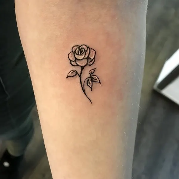 Flower, Rose
