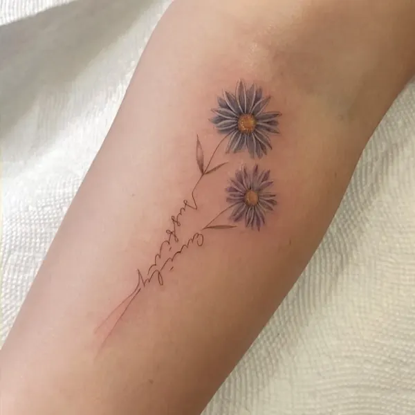 Flower, 데이지, 민들레, 야생화, 카네이션, 해바라기, 국화