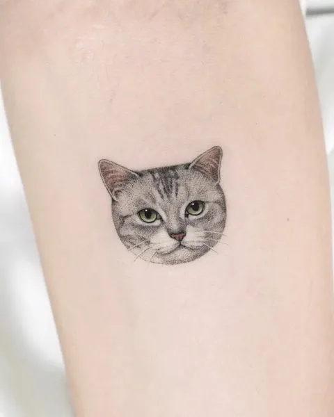 고양이, 여우 가면