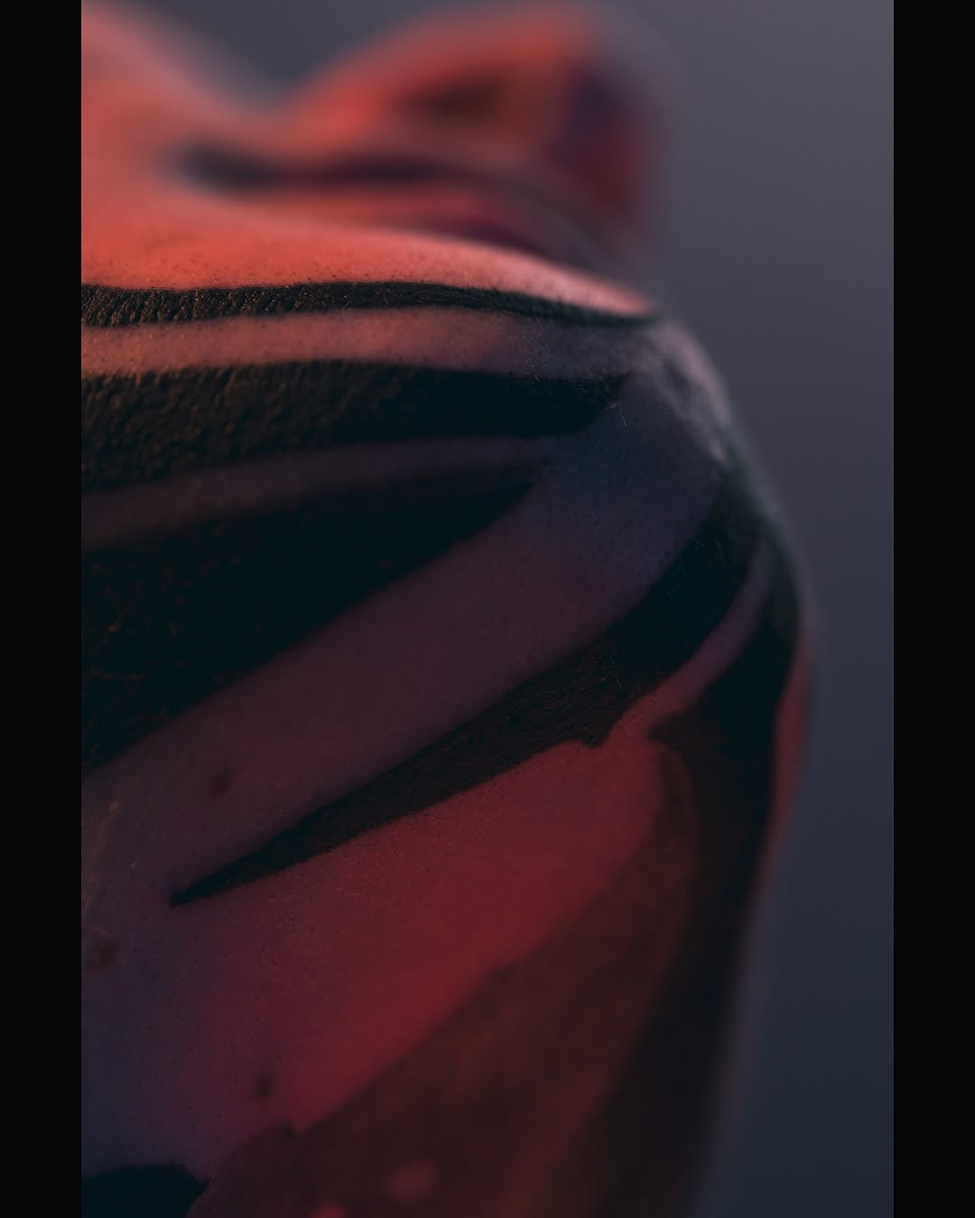 fibs_