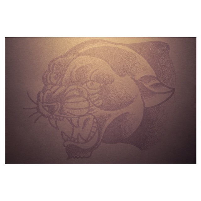 Animal, Tiger