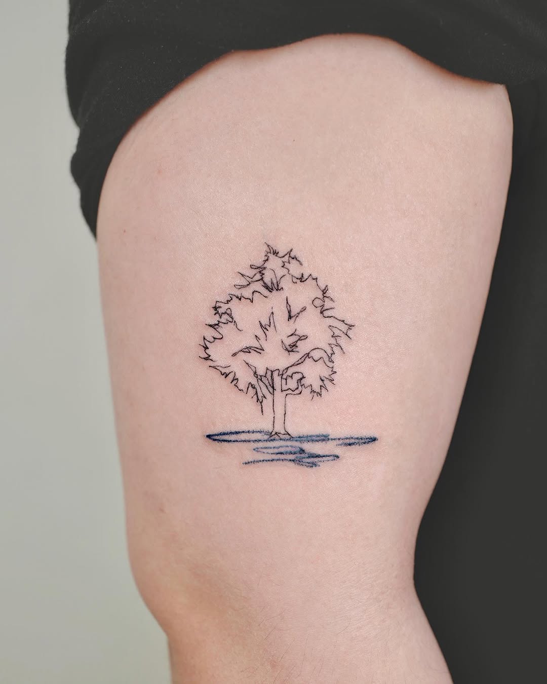 Nature, 나무, 소나무, 숲