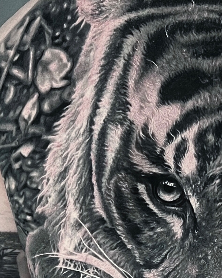Tiger, 중국 호랑이