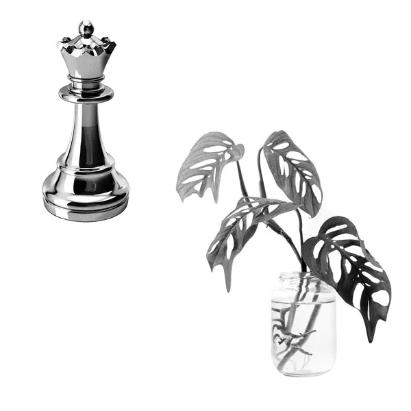 plantsnpokes