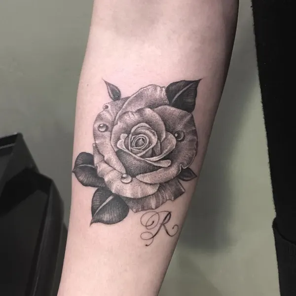 Flower, Rose