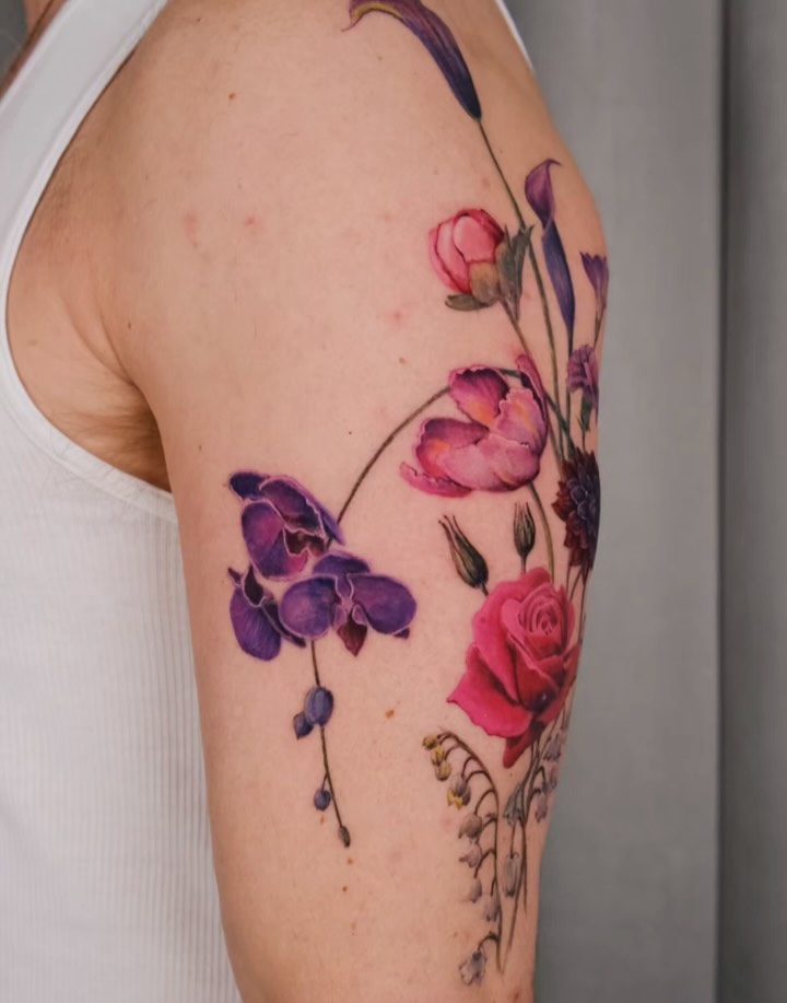 Flower, Rose, Nature