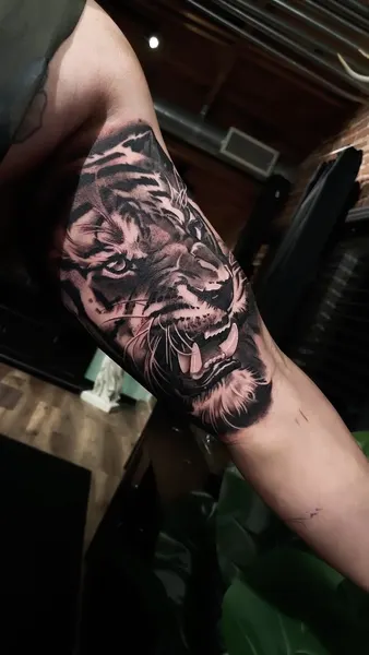 Tiger