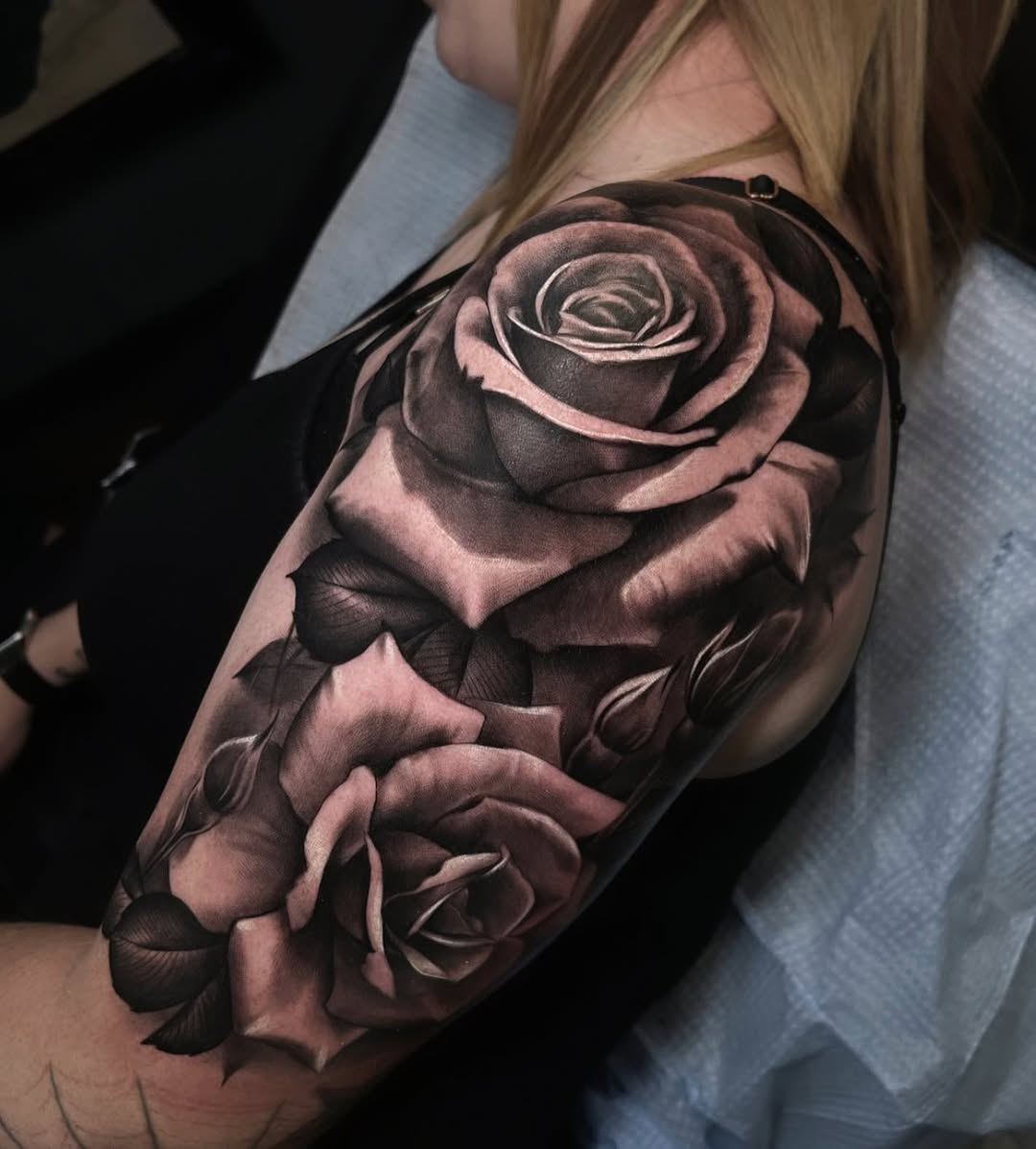 Flower, Rose, Nature