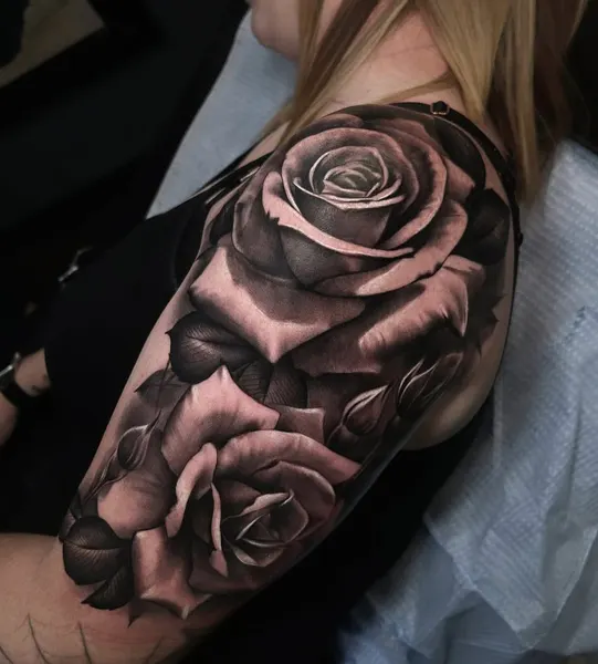 Flower, Rose, Nature
