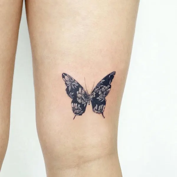 Animal, Nature