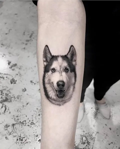 여우 가면, 고양이