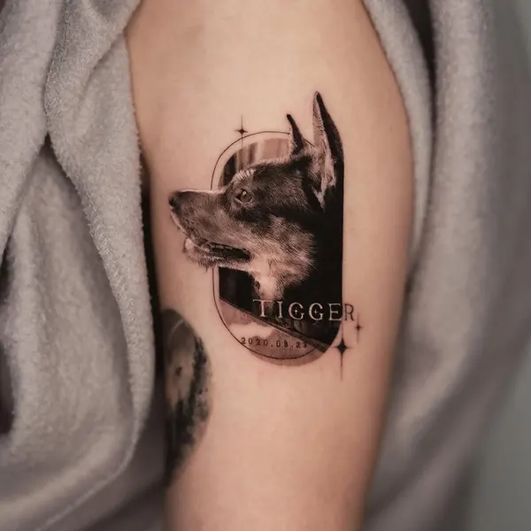 Tiger, Flower, Animal