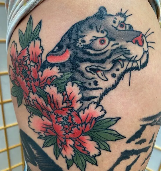 Dragon, Animal