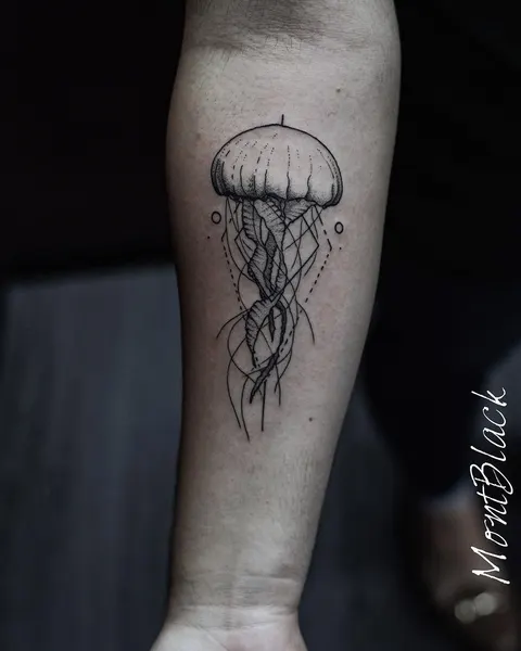 Nature, 버섯, 오징어, 해파리, 바람, 산호