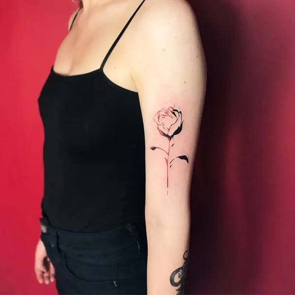Flower, Rose, Nature