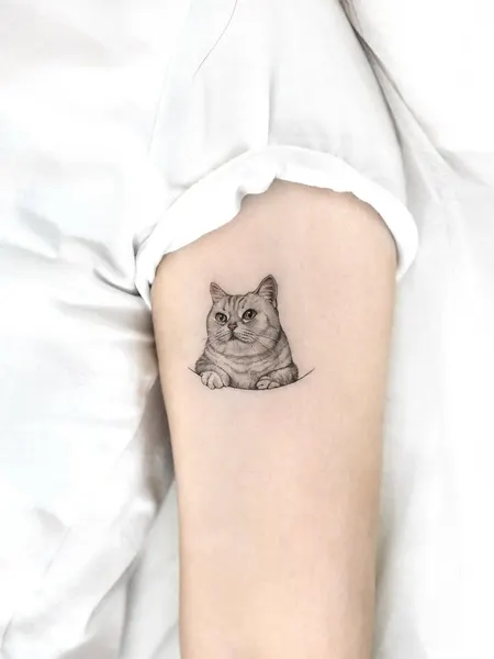 고양이, 반려동물, 여우 가면