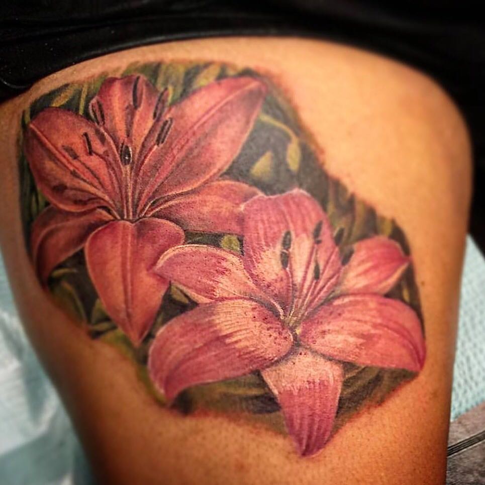 Flower, 난초, 히비스커스, 백합