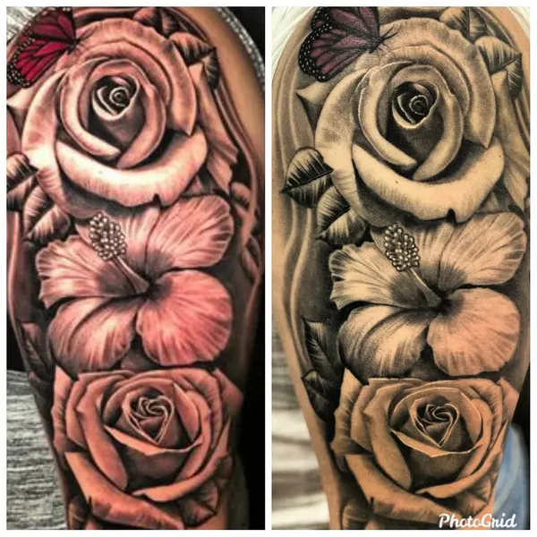 Flower, Rose