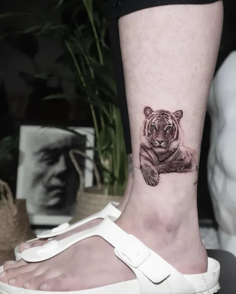 Tiger, 중국 호랑이, 치타, 재규어
