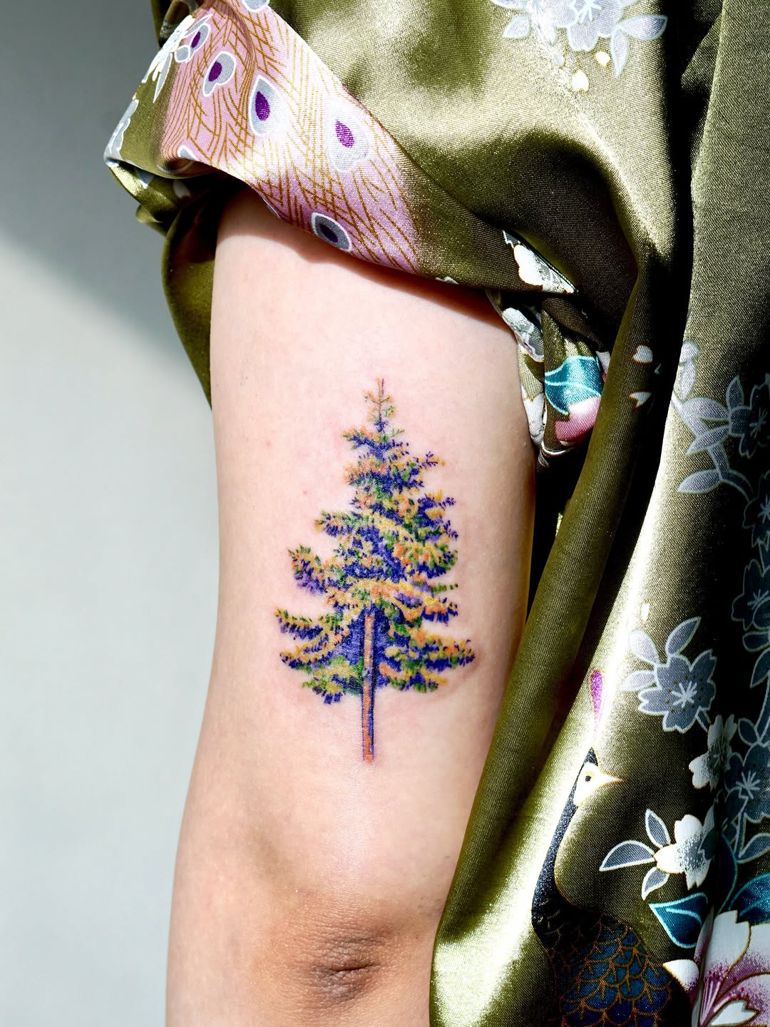 Nature, 소나무, 나무, 숲