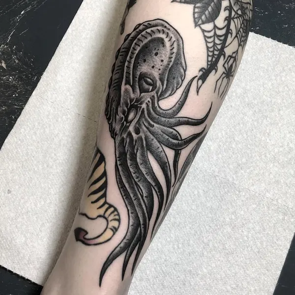 Animal