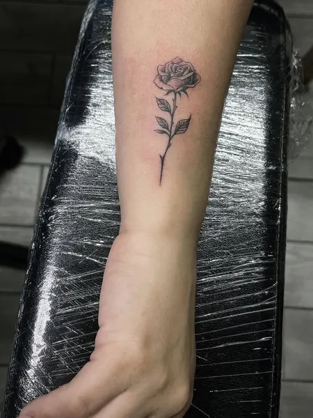 Flower, Rose