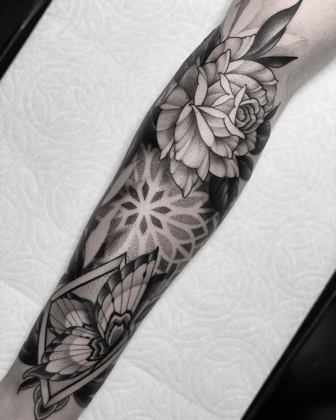 Flower, Rose