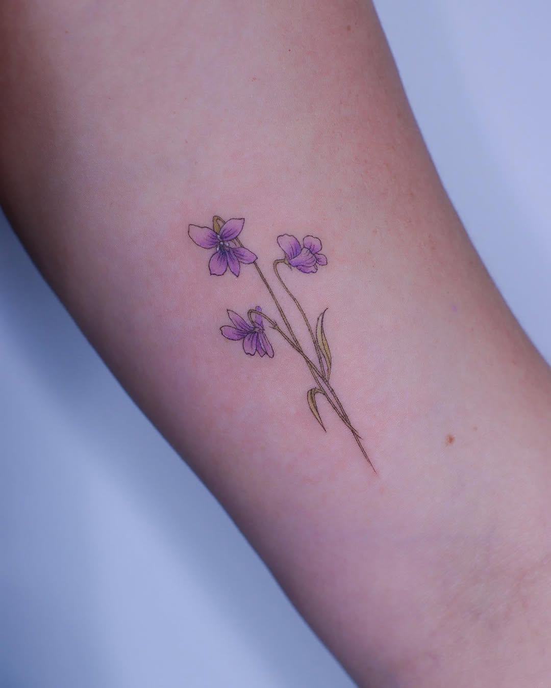 Flower, 라벤더