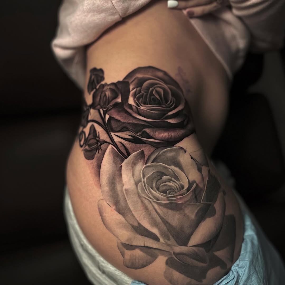 Flower, Rose, Nature