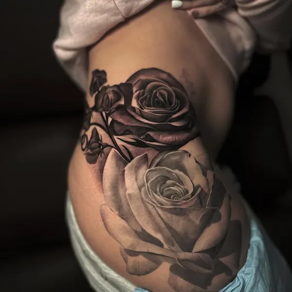 Flower, Rose, Nature