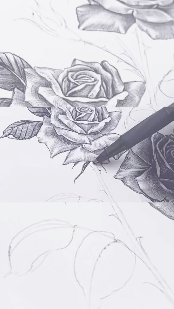 Flower, Rose