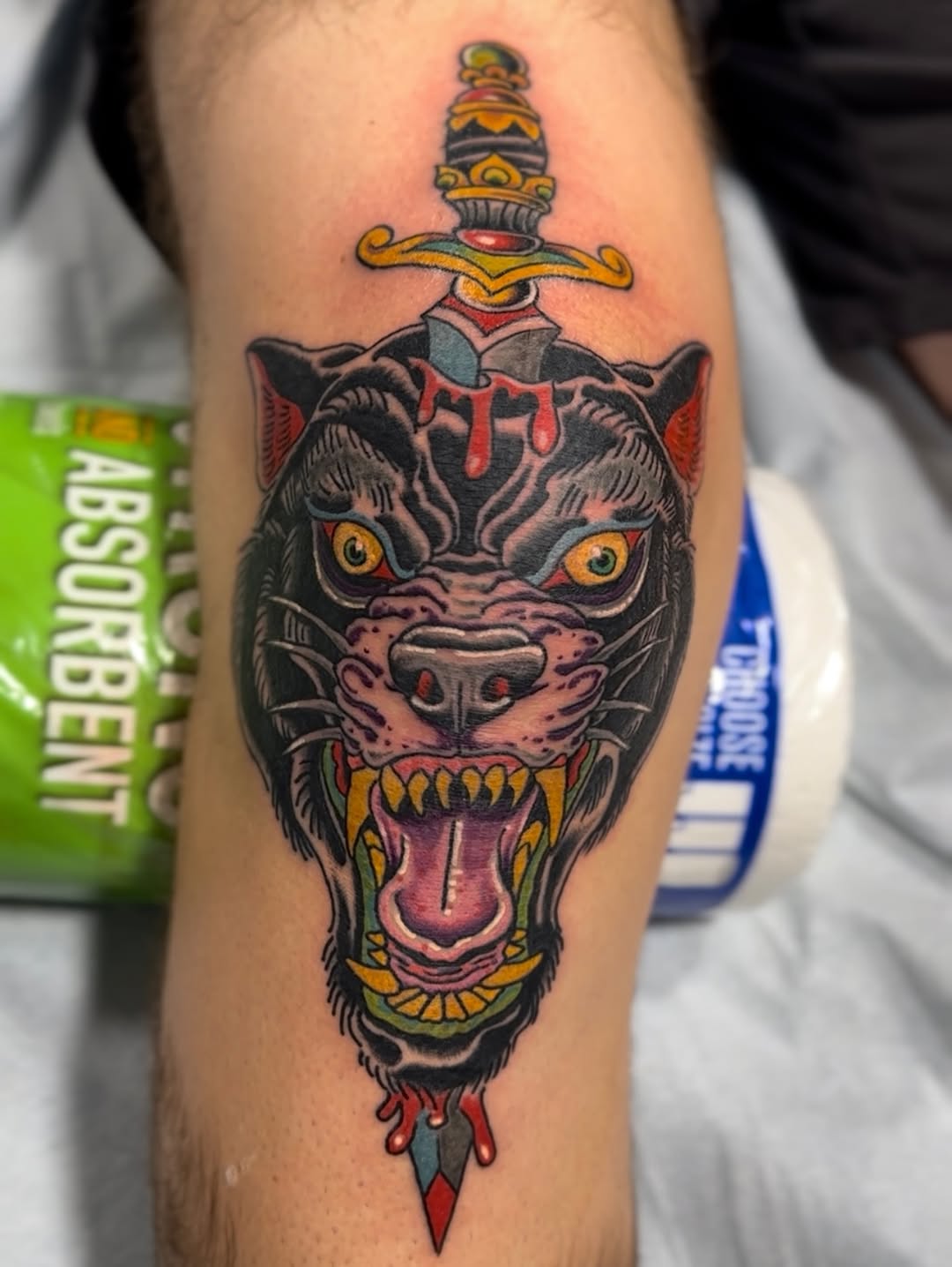 Tiger, Animal