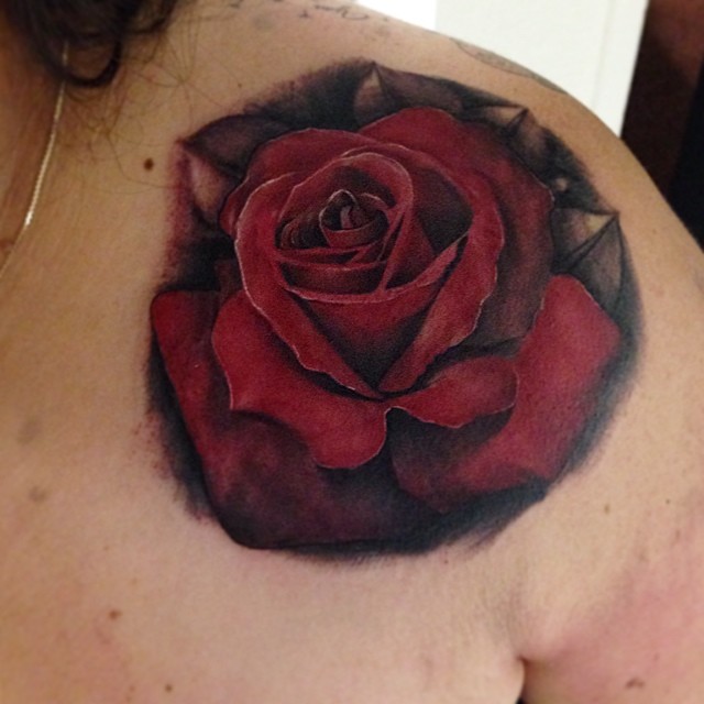Flower, Nature, Rose