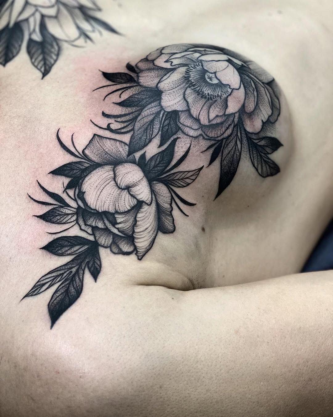 Flower, Rose, Nature