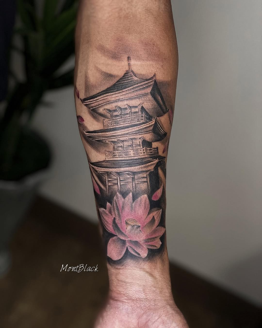Flower, 사찰, 고궁