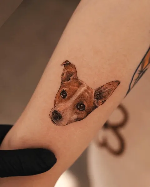 soltattoo