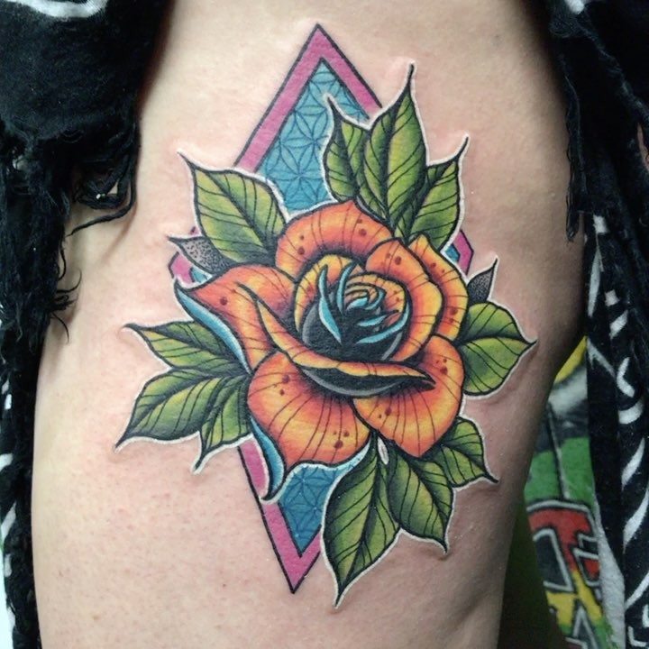 Flower, Rose, Nature