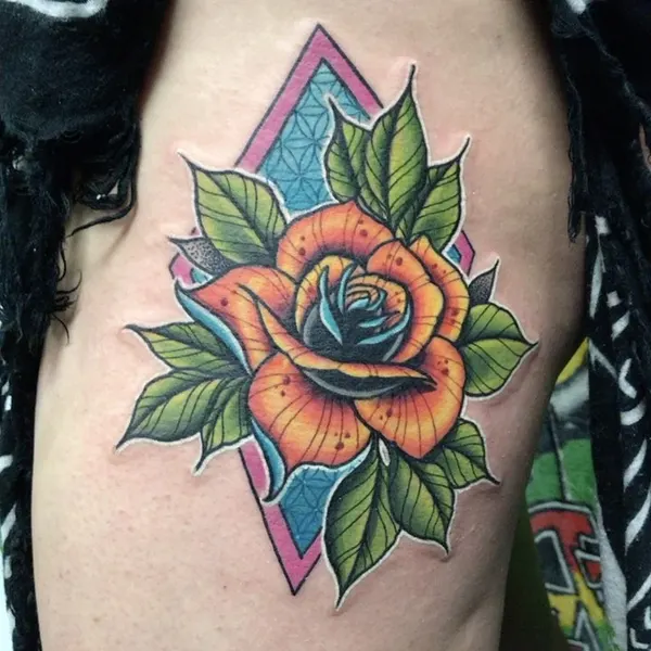 Flower, Rose, Nature