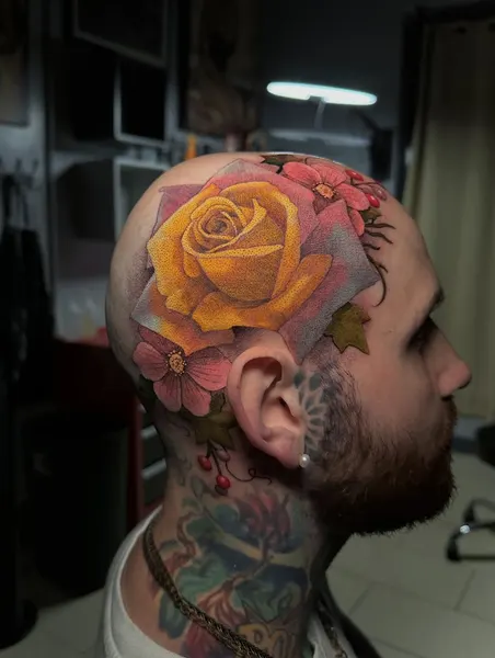 Flower, Rose, Nature