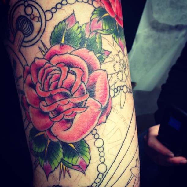 Flower, Rose