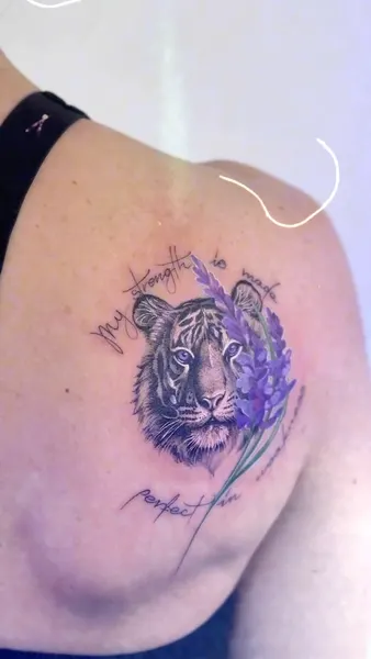 Tiger, 중국 호랑이, 한국 호랑이, 치타