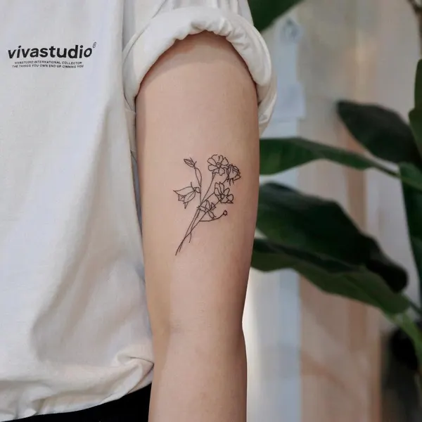 Flower, Rose
