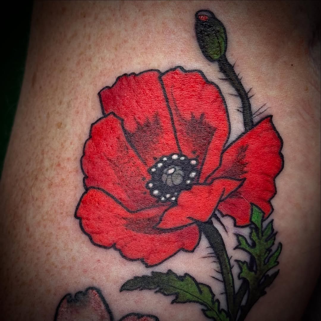 Flower, Rose, 양귀비
