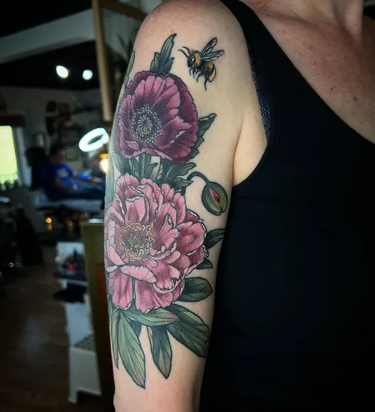 Flower, Rose, Nature