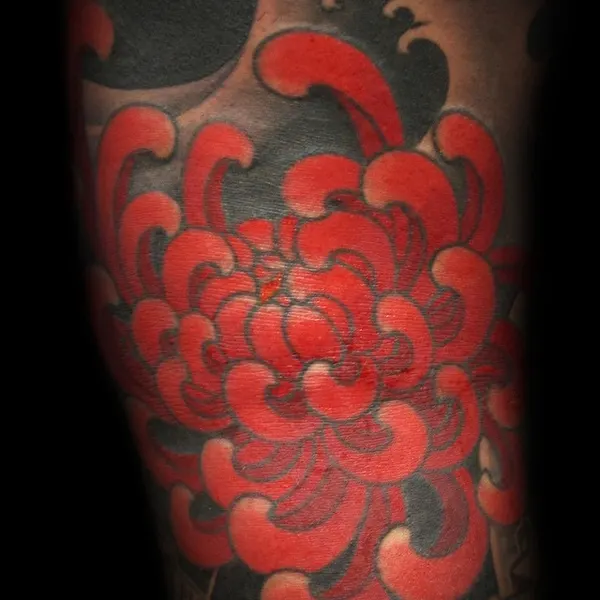 Flower, 일본, 일본 단풍, 일본 전통, 한국 전통, 일본 구름